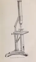 An illustration from The microscope and its revelations (1891)