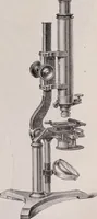 An illustration from The microscope and its revelations (1891)