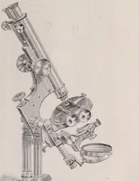 An illustration from The microscope and its revelations (1891)