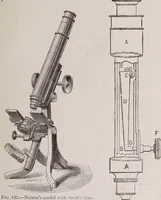 An illustration from The microscope and its revelations (1891)