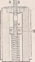 An illustration from The microscope and its revelations (1891)