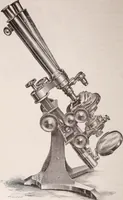 An illustration from The microscope and its revelations (1891)