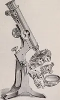 An illustration from The microscope and its revelations (1891)