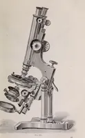 An illustration from The microscope and its revelations (1891)
