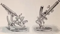 An illustration from The microscope and its revelations (1891)