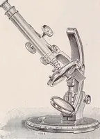 An illustration from The microscope and its revelations (1891)