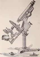 An illustration from The microscope and its revelations (1891)