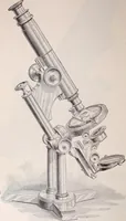 An illustration from The microscope and its revelations (1891)