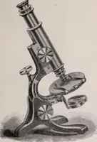 An illustration from The microscope and its revelations (1891)