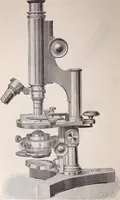An illustration from The microscope and its revelations (1891)