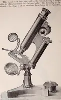 An illustration from The microscope and its revelations (1891)