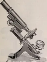 An illustration from The microscope and its revelations (1891)