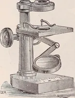 An illustration from The microscope and its revelations (1891)