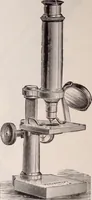 An illustration from The microscope and its revelations (1891)