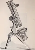 An illustration from The microscope and its revelations (1891)