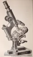 An illustration from The microscope and its revelations (1891)