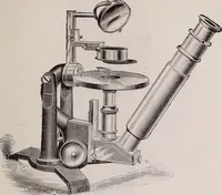 An illustration from The microscope and its revelations (1891)