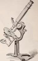 An illustration from The microscope and its revelations (1891)