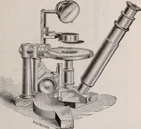 An illustration from The microscope and its revelations (1891)