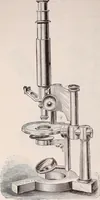 An illustration from The microscope and its revelations (1891)