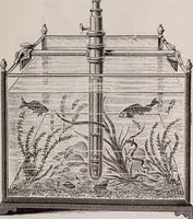 An illustration from The microscope and its revelations (1891)
