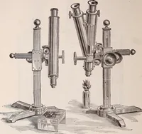 An illustration from The microscope and its revelations (1891)