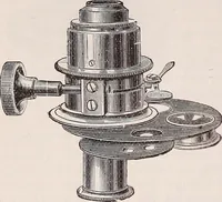 An illustration from The microscope and its revelations (1891)