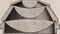 An illustration from The microscope and its revelations (1891)