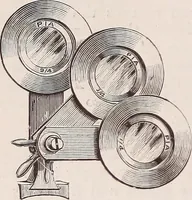An illustration from The microscope and its revelations (1891)