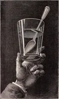 An illustration from The microscope and its revelations (1891)