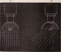 An illustration from The microscope and its revelations (1891)