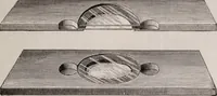An illustration from The microscope and its revelations (1891)