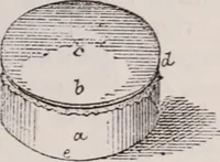 An illustration from The microscope and its revelations (1891)
