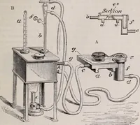 An illustration from The microscope and its revelations (1891)