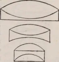 An illustration from The microscope and its revelations (1891)