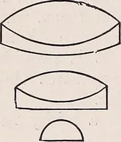 An illustration from The microscope and its revelations (1891)