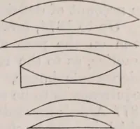 An illustration from The microscope and its revelations (1891)