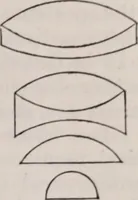 An illustration from The microscope and its revelations (1891)
