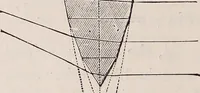 An illustration from The microscope and its revelations (1891)