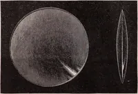 An illustration from The microscope and its revelations (1891)