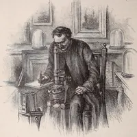 An illustration from The microscope and its revelations (1891)