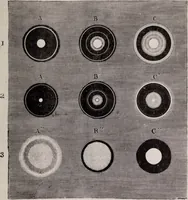 An illustration from The microscope and its revelations (1891)