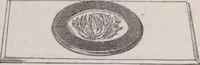 An illustration from The microscope and its revelations (1891)