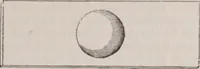 An illustration from The microscope and its revelations (1891)