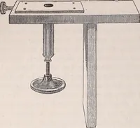 An illustration from The microscope and its revelations (1891)