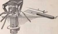 An illustration from The microscope and its revelations (1891)