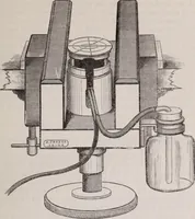 An illustration from The microscope and its revelations (1891)