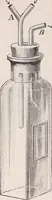 An illustration from The microscope and its revelations (1891)
