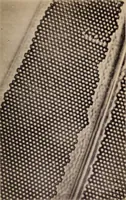 An illustration from The microscope and its revelations (1891)