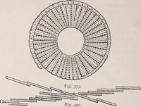 An illustration from The microscope and its revelations (1891)